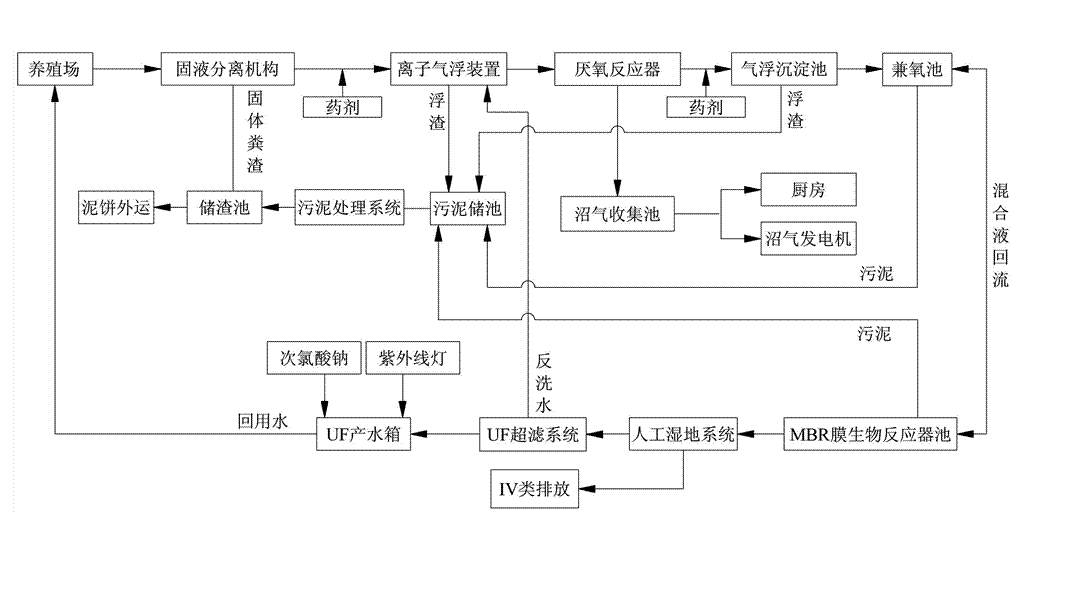 農(nóng)村養(yǎng)殖戶(hù)如何低成本有效處理污水，這兩種做法你應(yīng)該知道!02