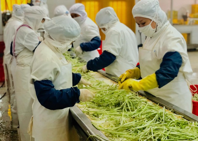 三種食品污水處理設(shè)備工藝流程，看看哪種適合您？